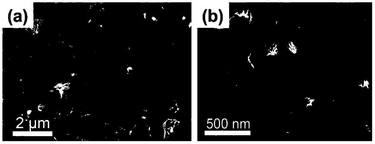 Preparation method of iron carbide composite electrode material coated with nitrogen and sulfur doped with carbon