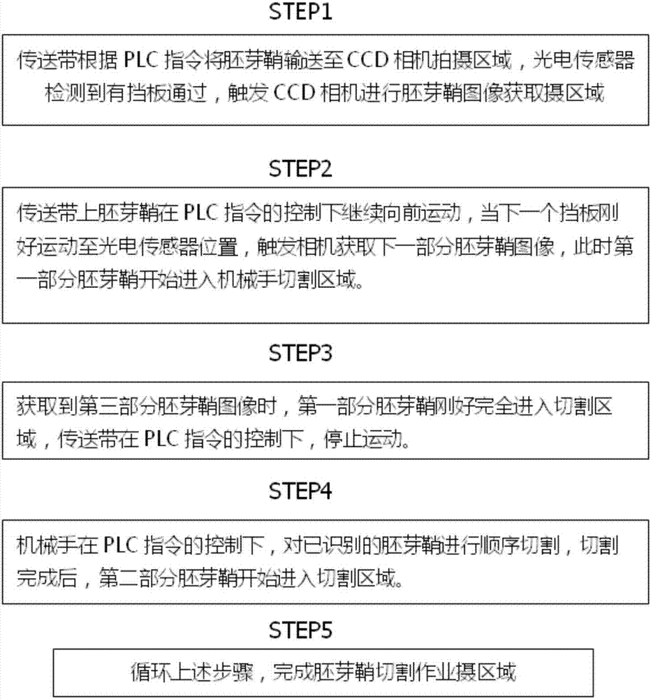 Coleoptile cutting system and method based on PLC control system