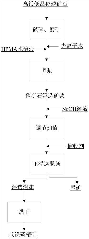 Application of an inhibitor hpma in positive flotation demagnesia of phosphate rock