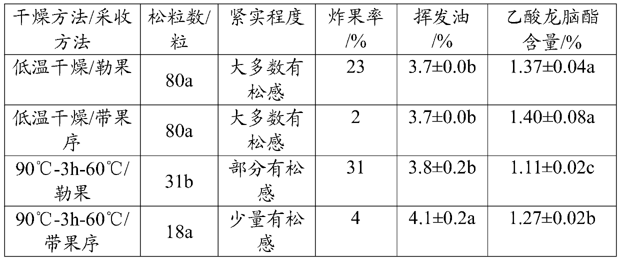 Villous amomum fruit processing method