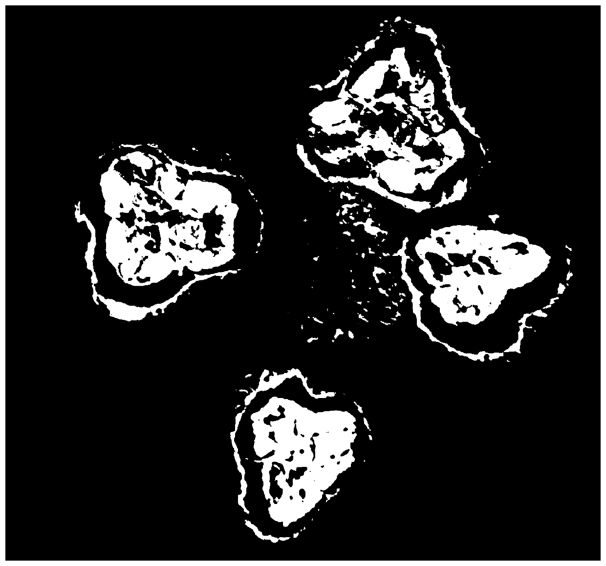 Villous amomum fruit processing method