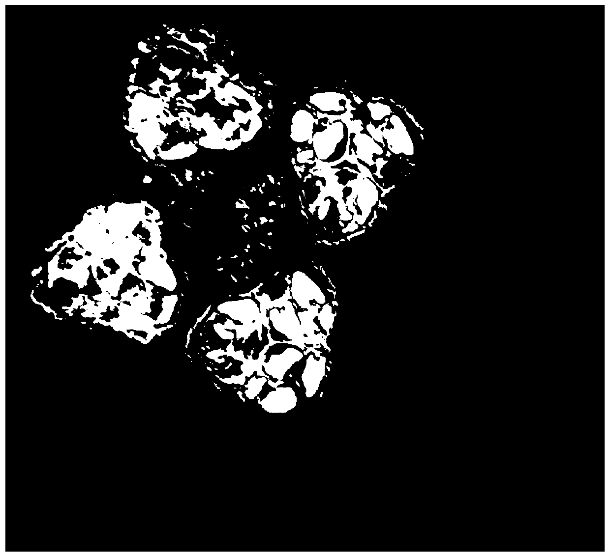 Villous amomum fruit processing method