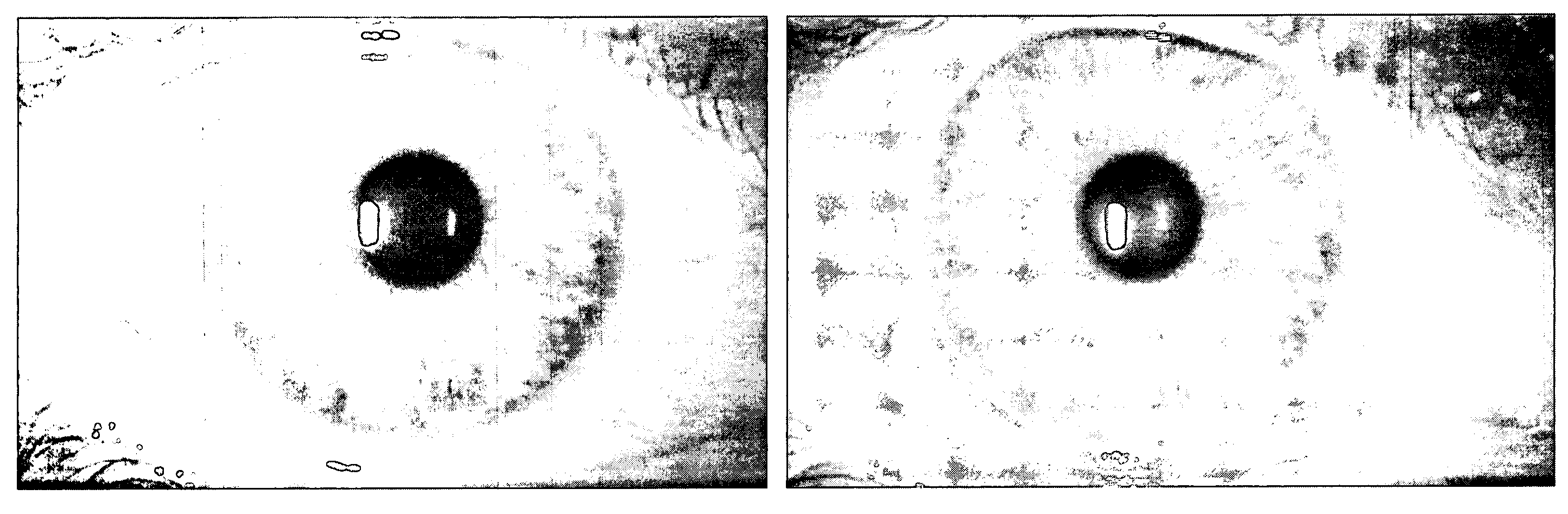 Soft contact lenses displaying superior on-eye comfort