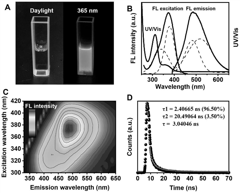 Magnesium-nitrogen-doped carbon dots, preparation method thereof and application of magnesium-nitrogen-doped carbon dots in improvement of photosynthesis of plants