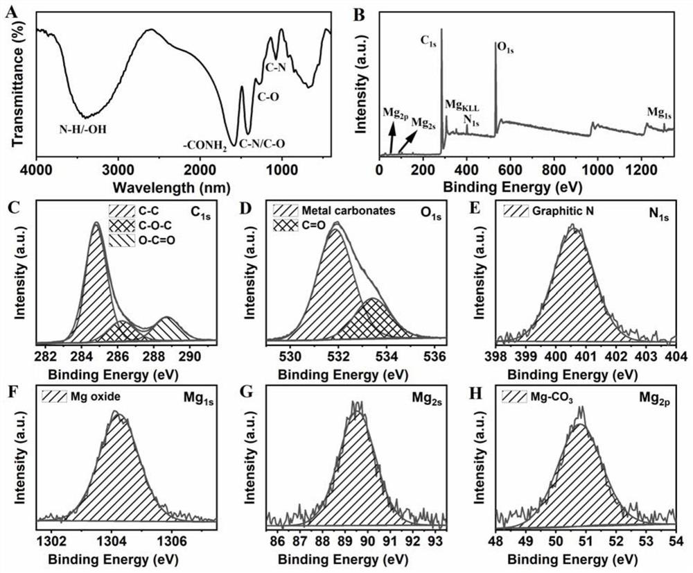 Magnesium-nitrogen-doped carbon dots, preparation method thereof and application of magnesium-nitrogen-doped carbon dots in improvement of photosynthesis of plants