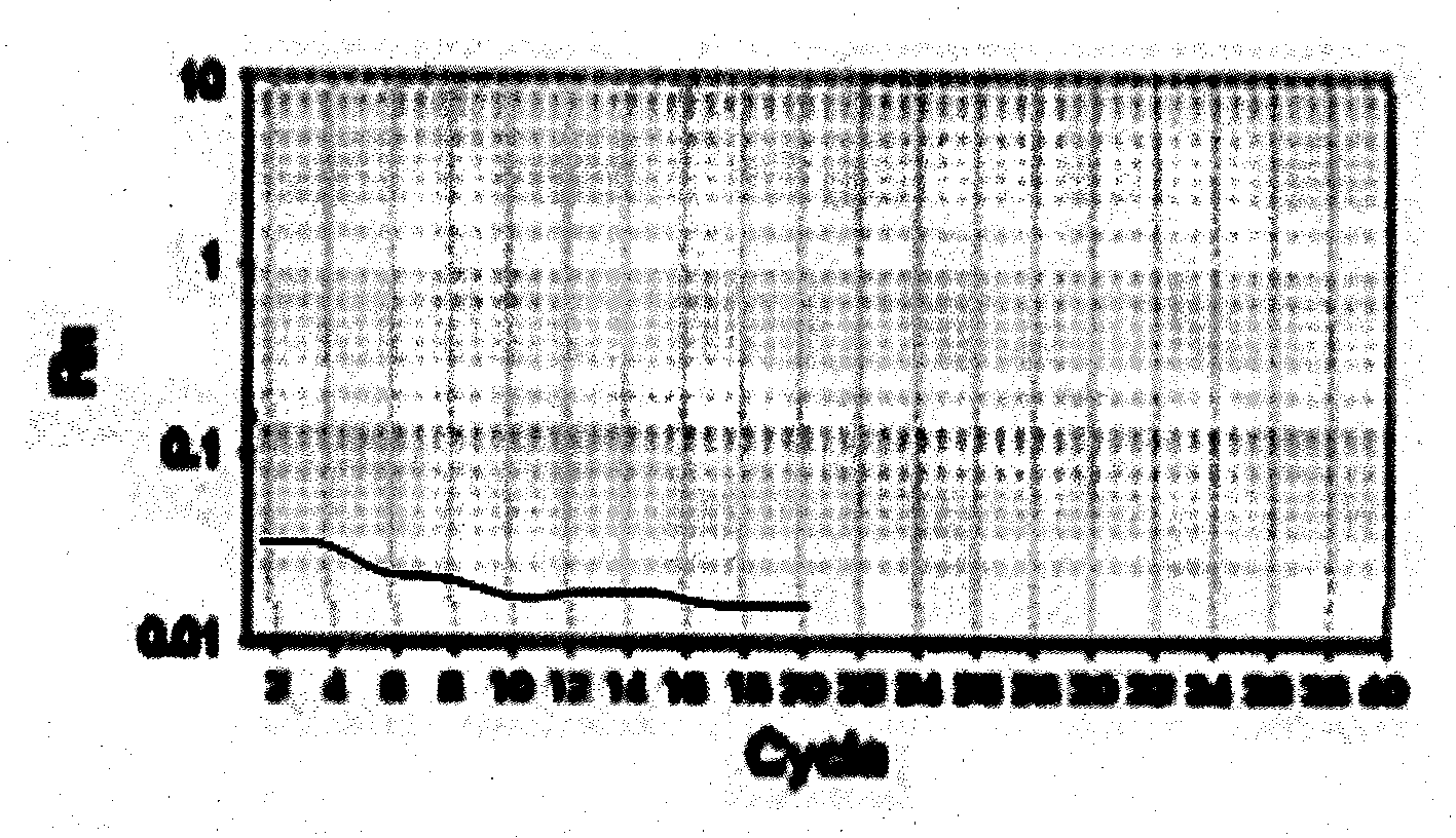 Primers and method for detecting tehA gene in Escherichia coli