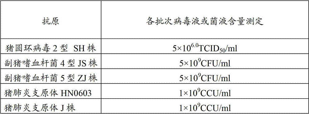 Vaccine composition for preventing and treating porcine circovirus type 2, Haemophilus parasuis and Mycoplasma hyopneumoniae infection and preparation method thereof