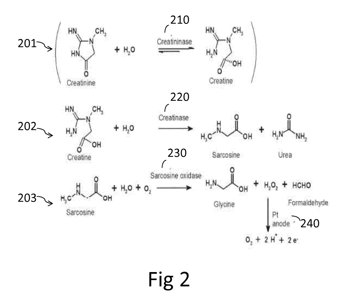 Method for correcting crea sensor for calcium inhibition