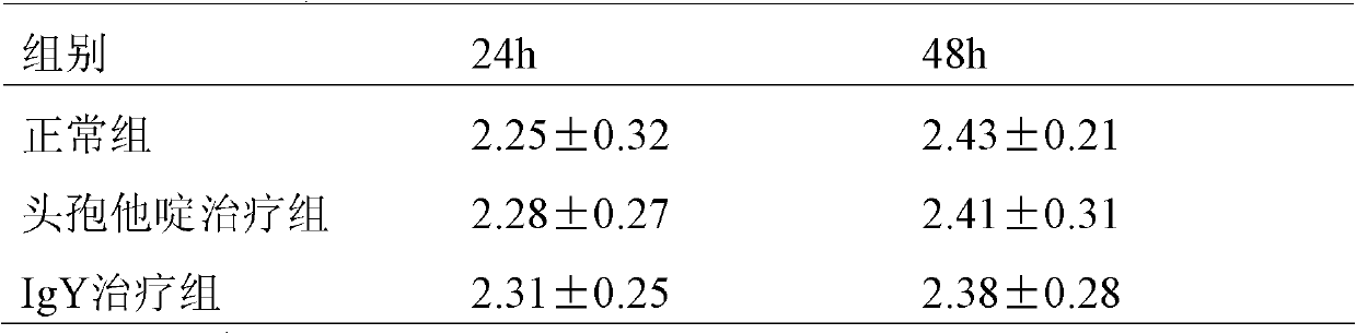 An IgY for a PA-MSHA bacterial strain, and preparation method and application thereof