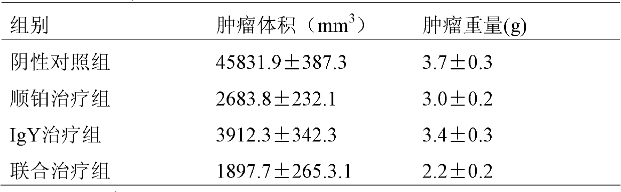 An IgY for a PA-MSHA bacterial strain, and preparation method and application thereof