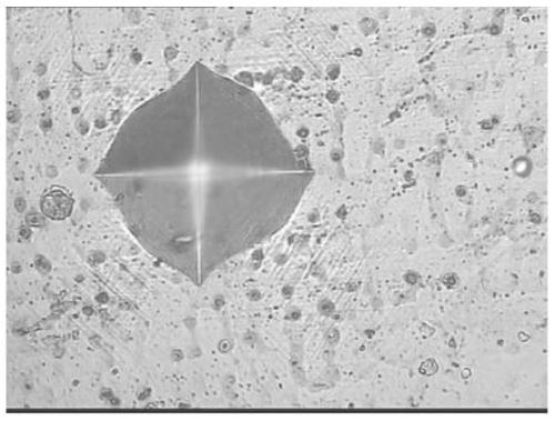 Carbonic high-entropy alloy coating and preparation method thereof