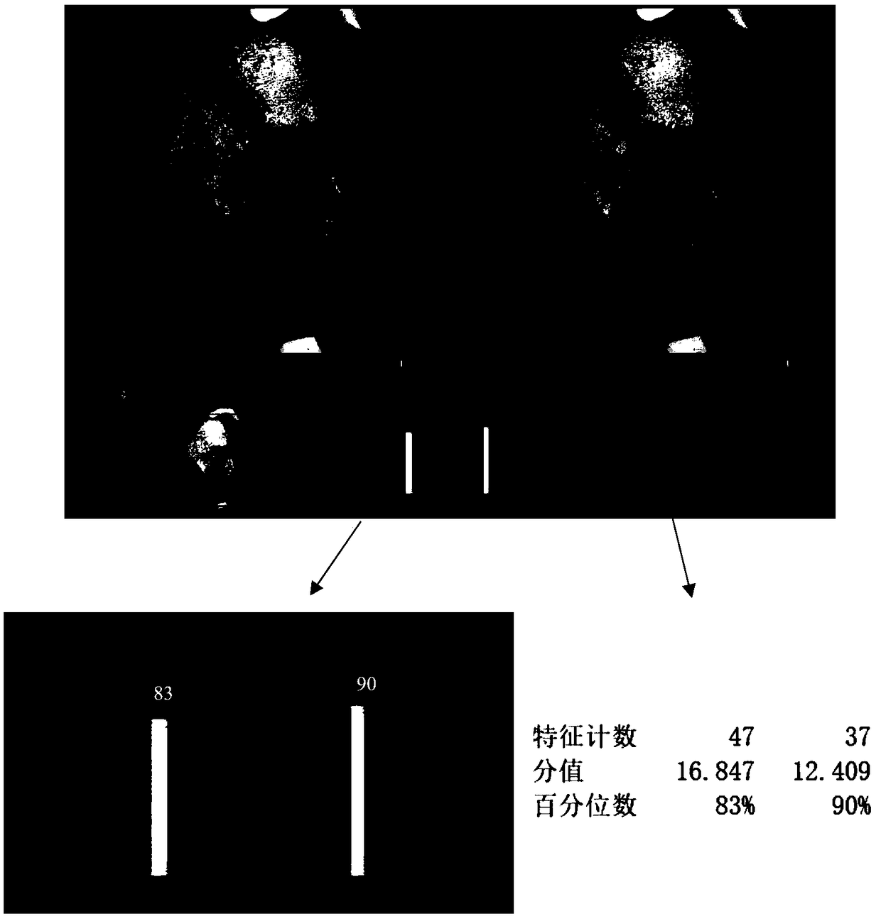 Preparation method of polypeptide wrinkle-removal repair essence