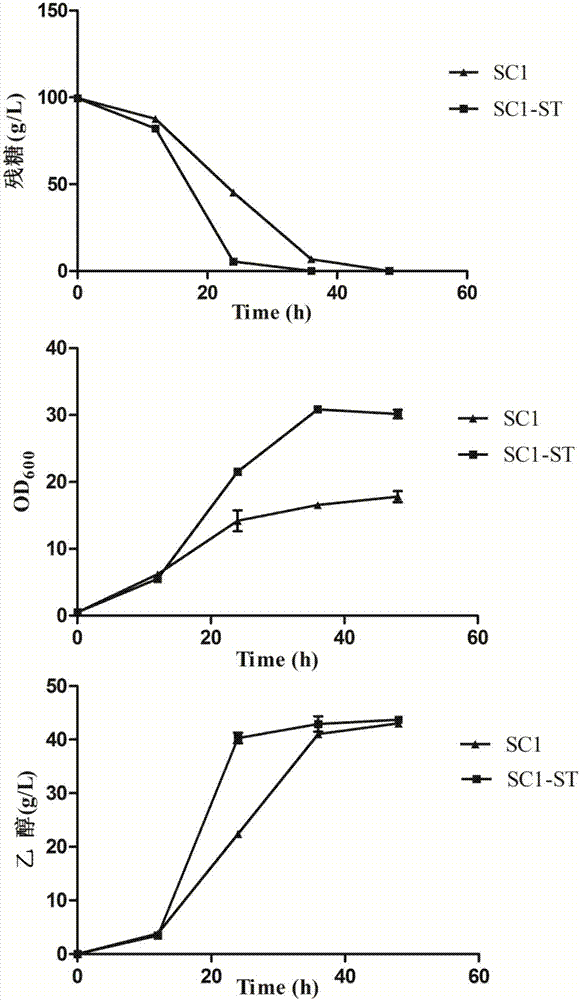 Method for improving sucrose fermentation performance of Saccharomyces cerevisiae and application thereof