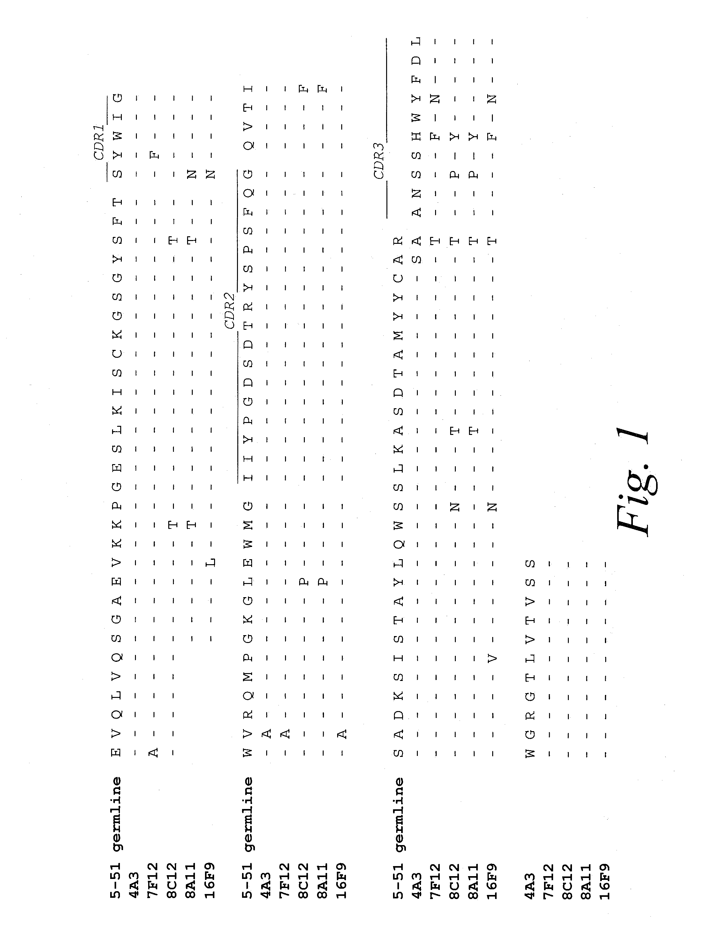 Monoclonal antibodies against prostate specific membrane antigen (PSMA) lacking in fucosyl residues