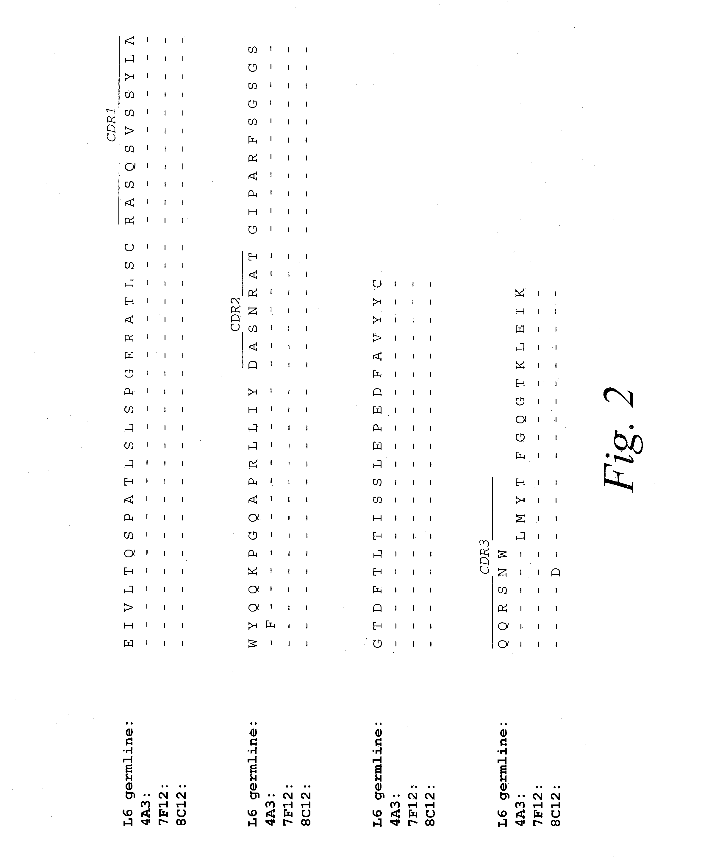 Monoclonal antibodies against prostate specific membrane antigen (PSMA) lacking in fucosyl residues