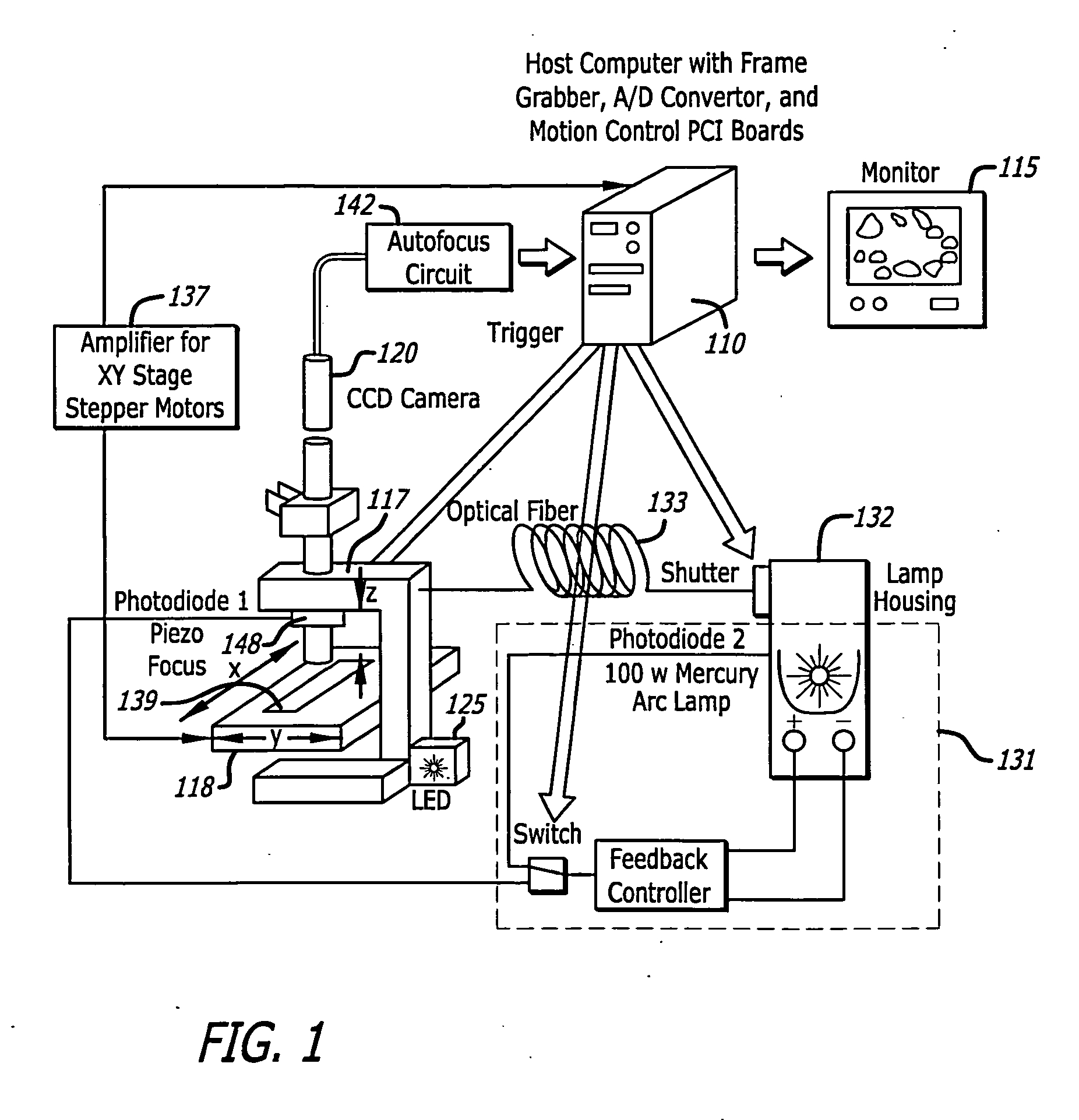 System and method for automatic color segmentation and minimum significant response for measurement of fractional localized intensity of cellular compartments