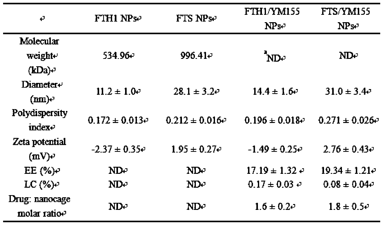 Survivin dual inhibitor loaded ferritin nanoparticles as well as preparation method and application thereof