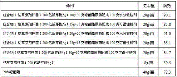 Biocontrol bacterium and azoxystrobin composition