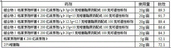 Biocontrol bacterium and azoxystrobin composition