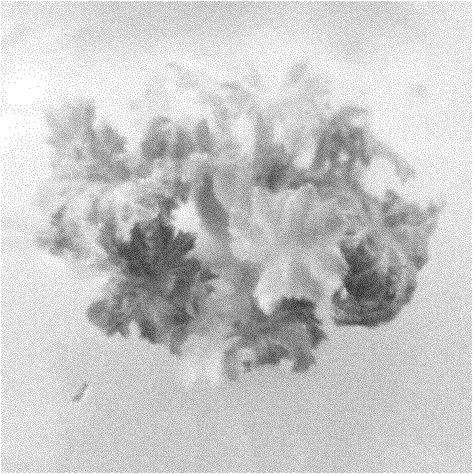 Method for performing tissue culture and rapid propagation on primula saxatilis