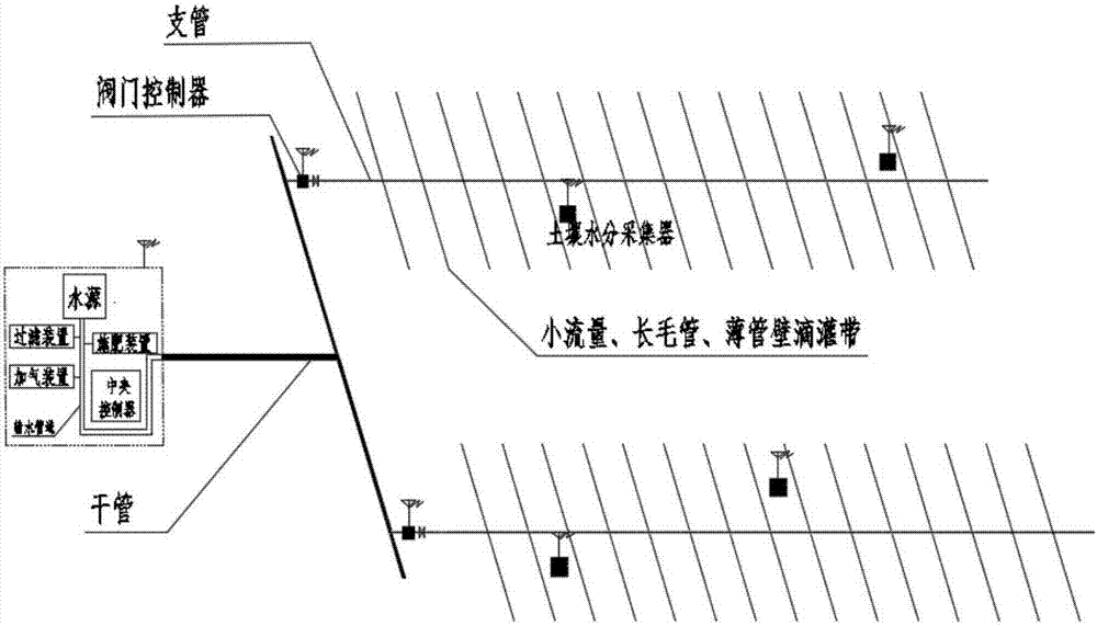 Water-saving and efficient cultivation method for drip irrigation of potatoes in cold region