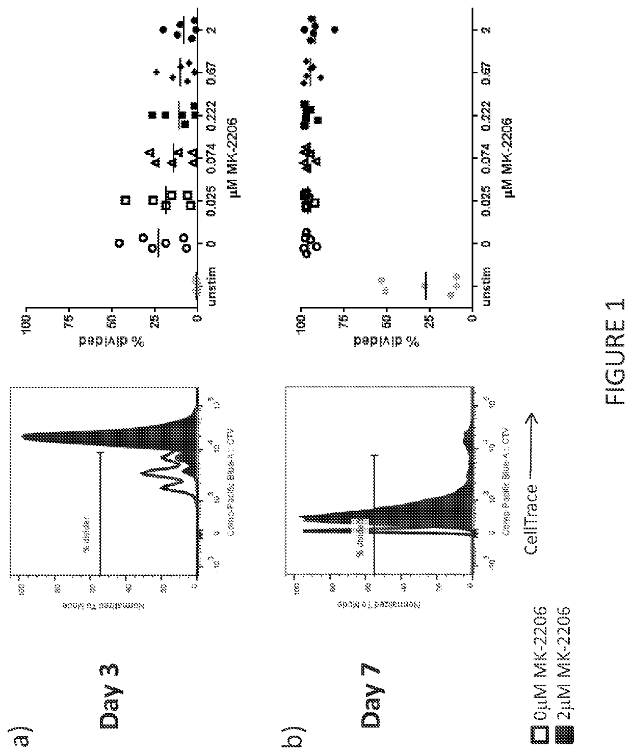 T cell compositions