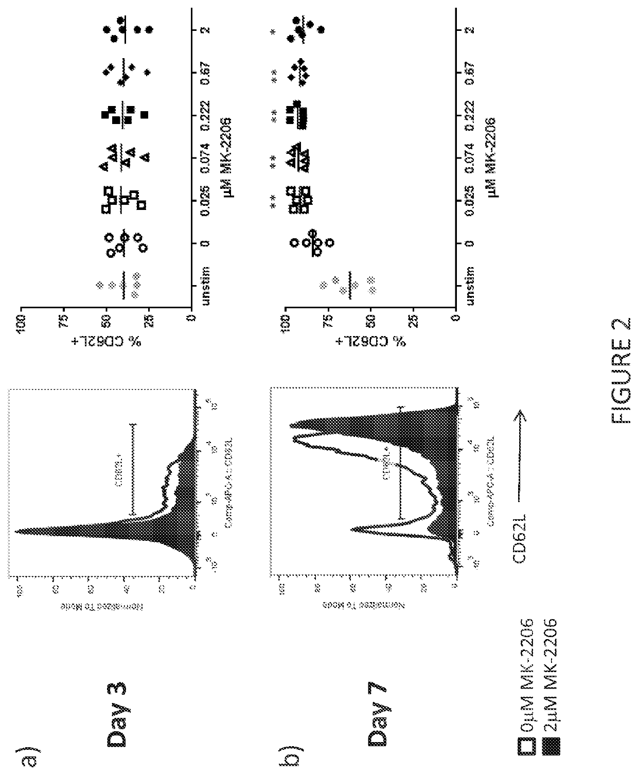 T cell compositions