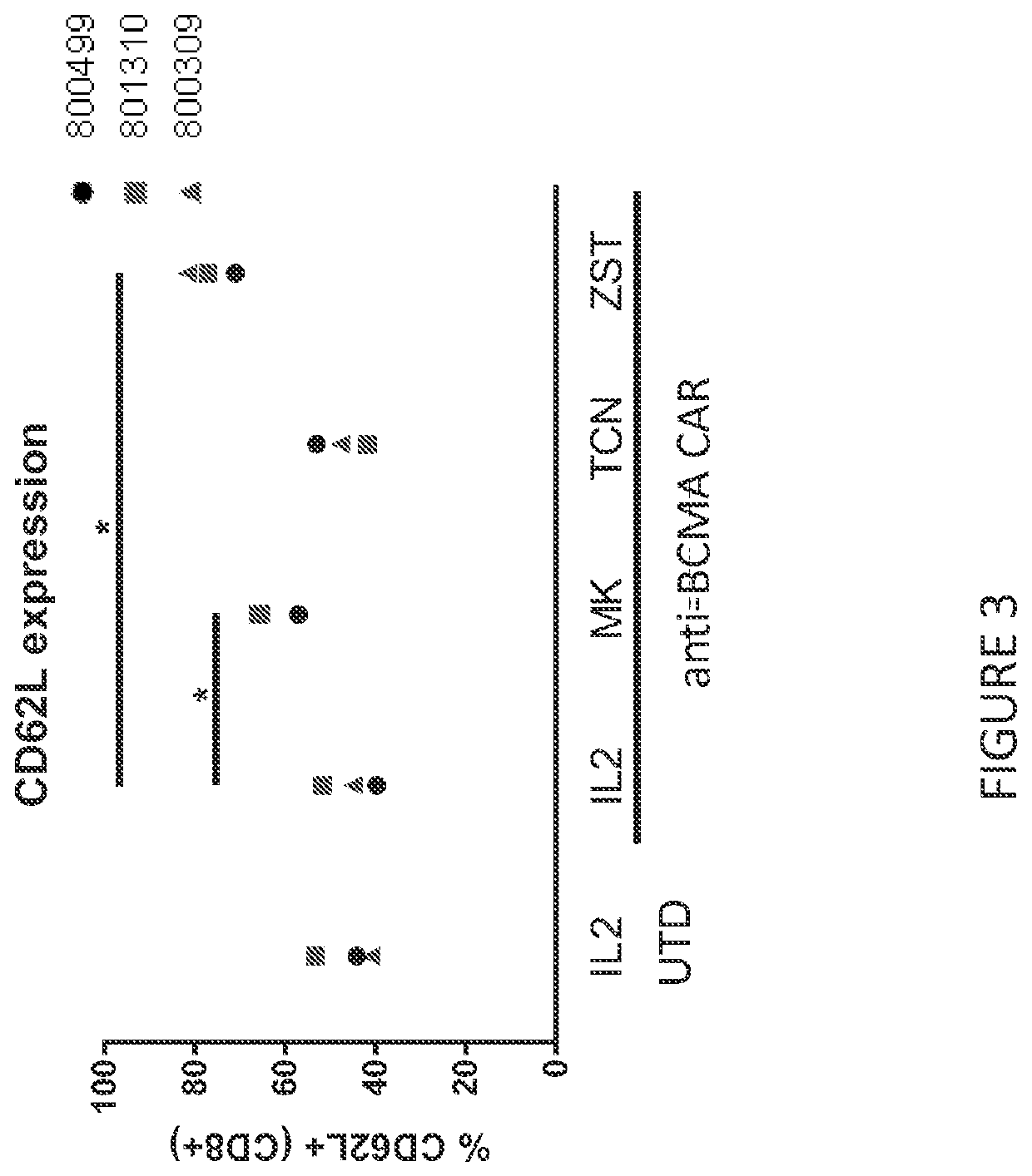 T cell compositions