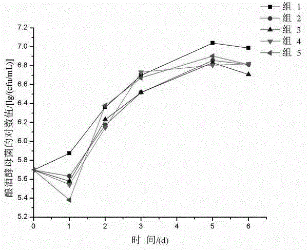 Indigenous lactic acid bacteria as well as method for fermenting edible-medicinal fungi in mixing manner of indigenous lactic acid bacteria and brewing yeast and product