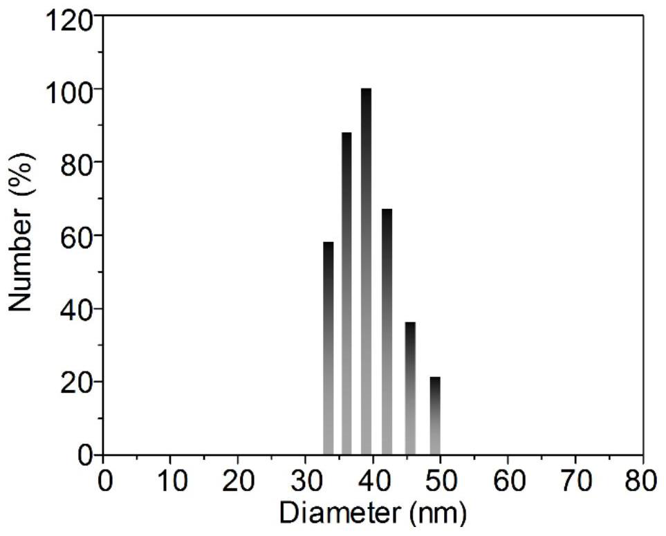 Single-component near-infrared afterglow imaging nanoprobe and preparation method thereof