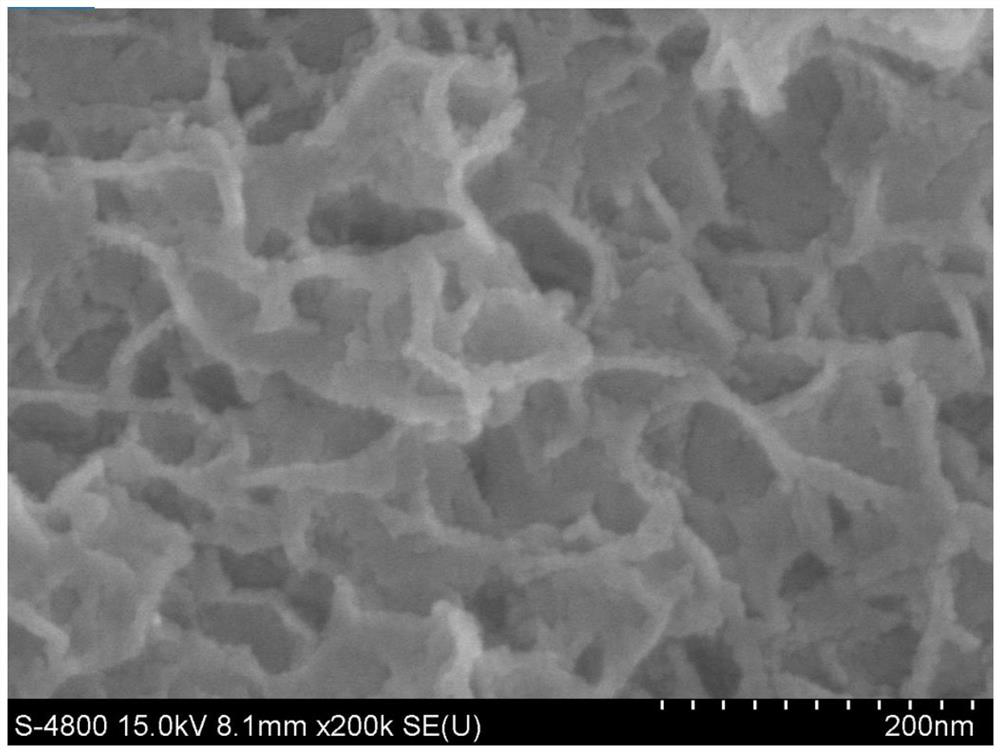 Corrosion-resistant ferronickel electrode and preparation method and application thereof