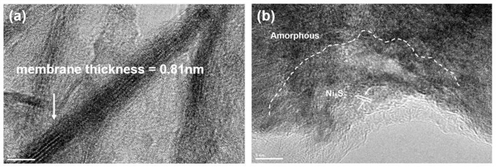 Corrosion-resistant ferronickel electrode and preparation method and application thereof