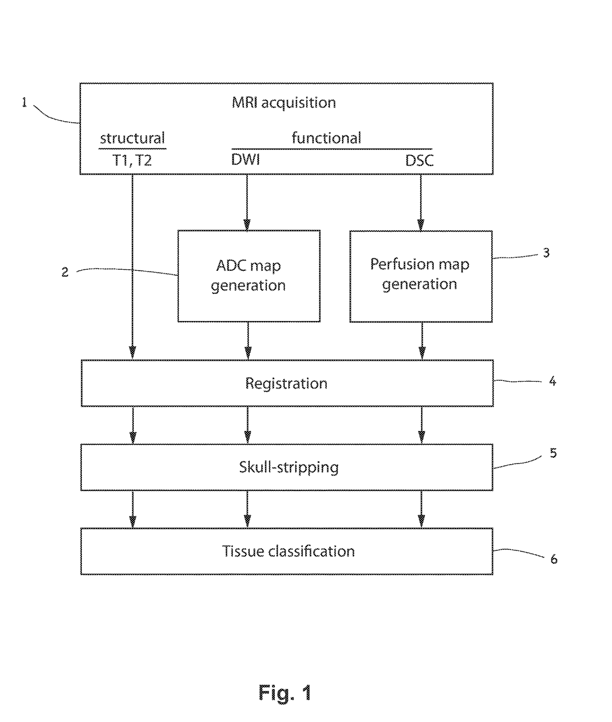 Method for segmenting and predicting tissue regions in patients with acute cerebral ischemia