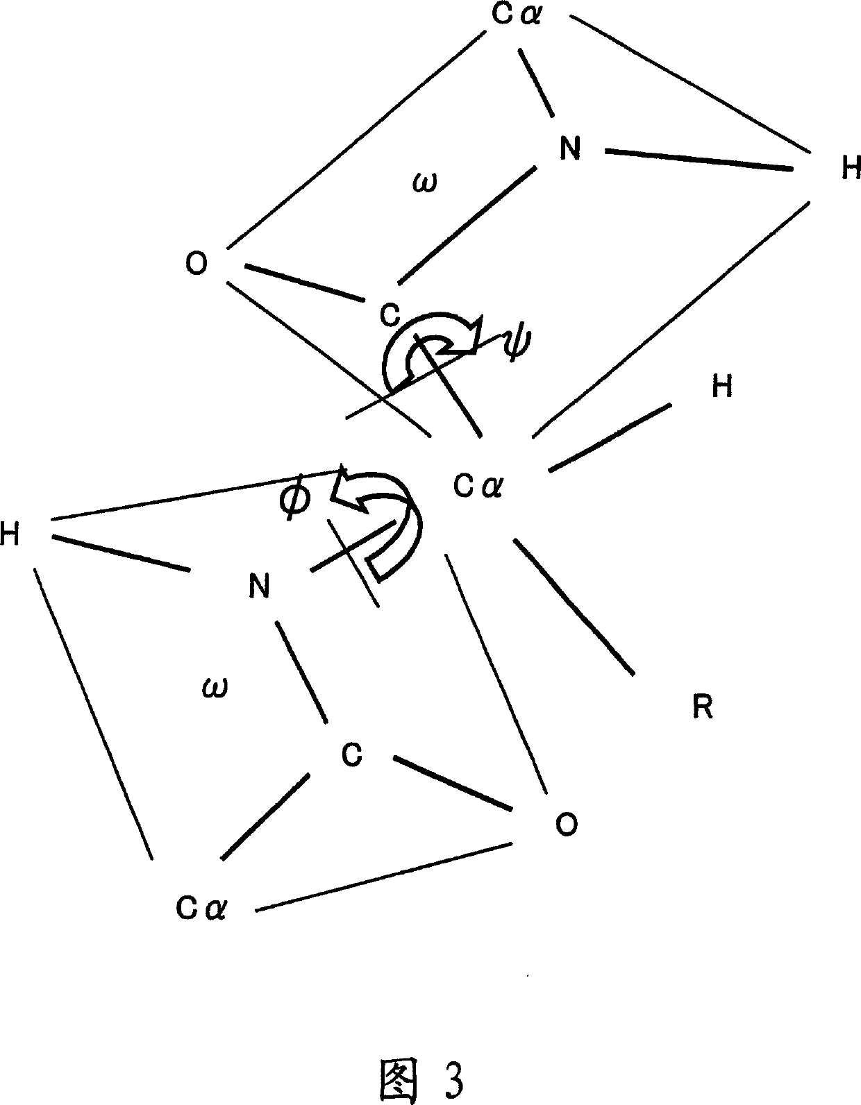 Apparatus for predicting stereostructure of protein and prediction method