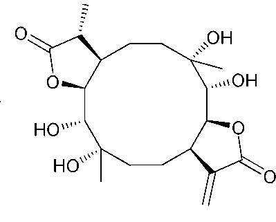 Application of Eryngiolide A in medicines curing rarefaction of bone caused by lack of antiestrogen