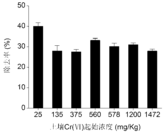 Method for rapidly removing and recycling hexavalent chromium from chromium-contaminated soil