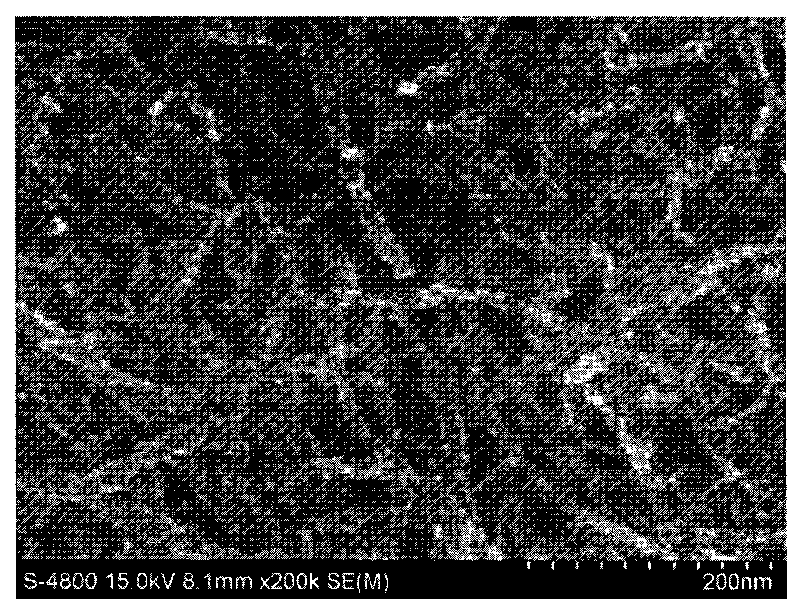 Method for preparing stannic oxide battery anode material on carbon nano tube by using electro-deposition process