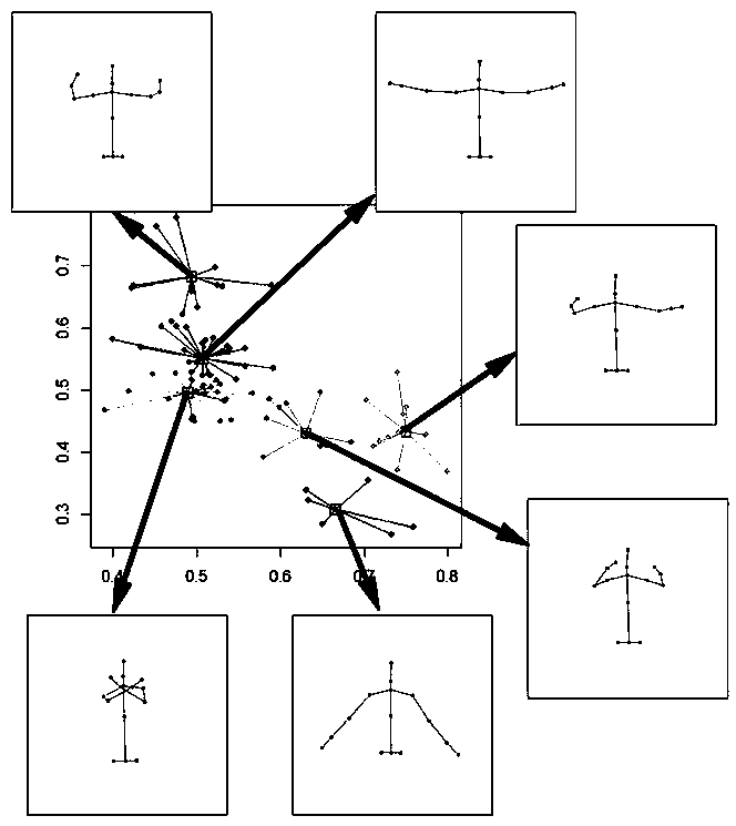 Human upper body motion recognition method based on key frame and stochastic forest regression