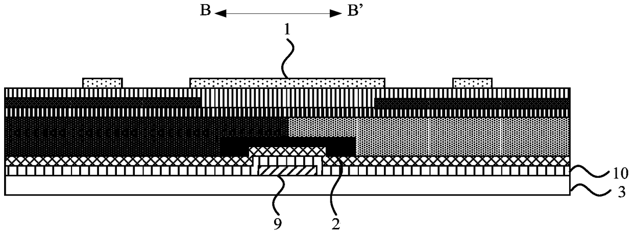 Display substrate, manufacturing method thereof, and display device