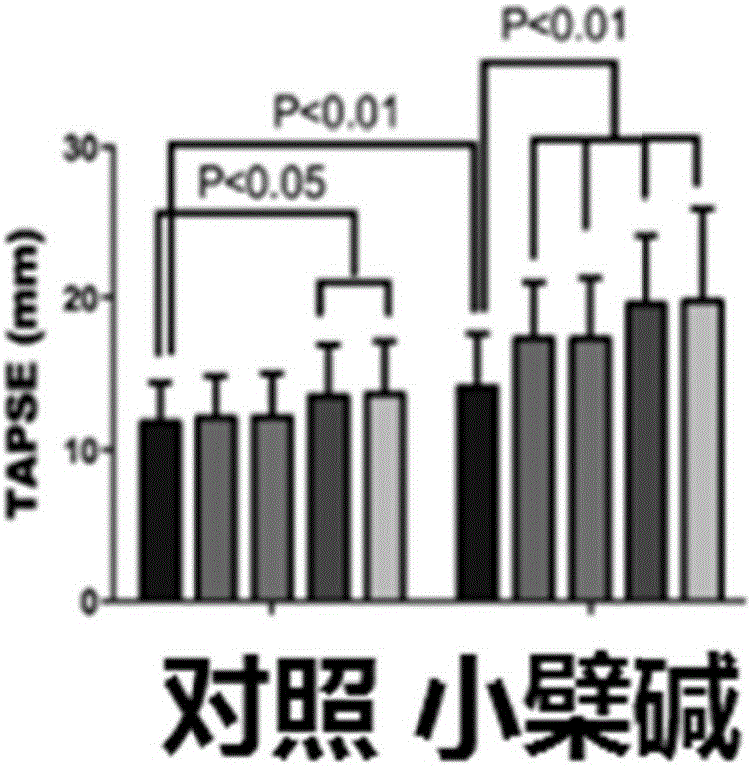 Medical application of berberine