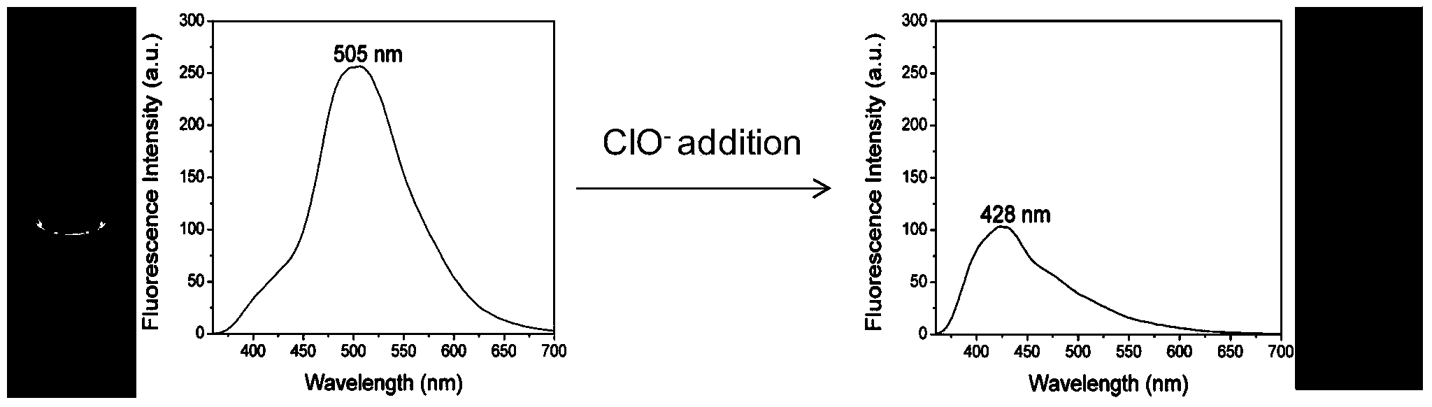 Functional multi-nitrogen heterocyclic ring fluorescent probe, preparation method and application thereof