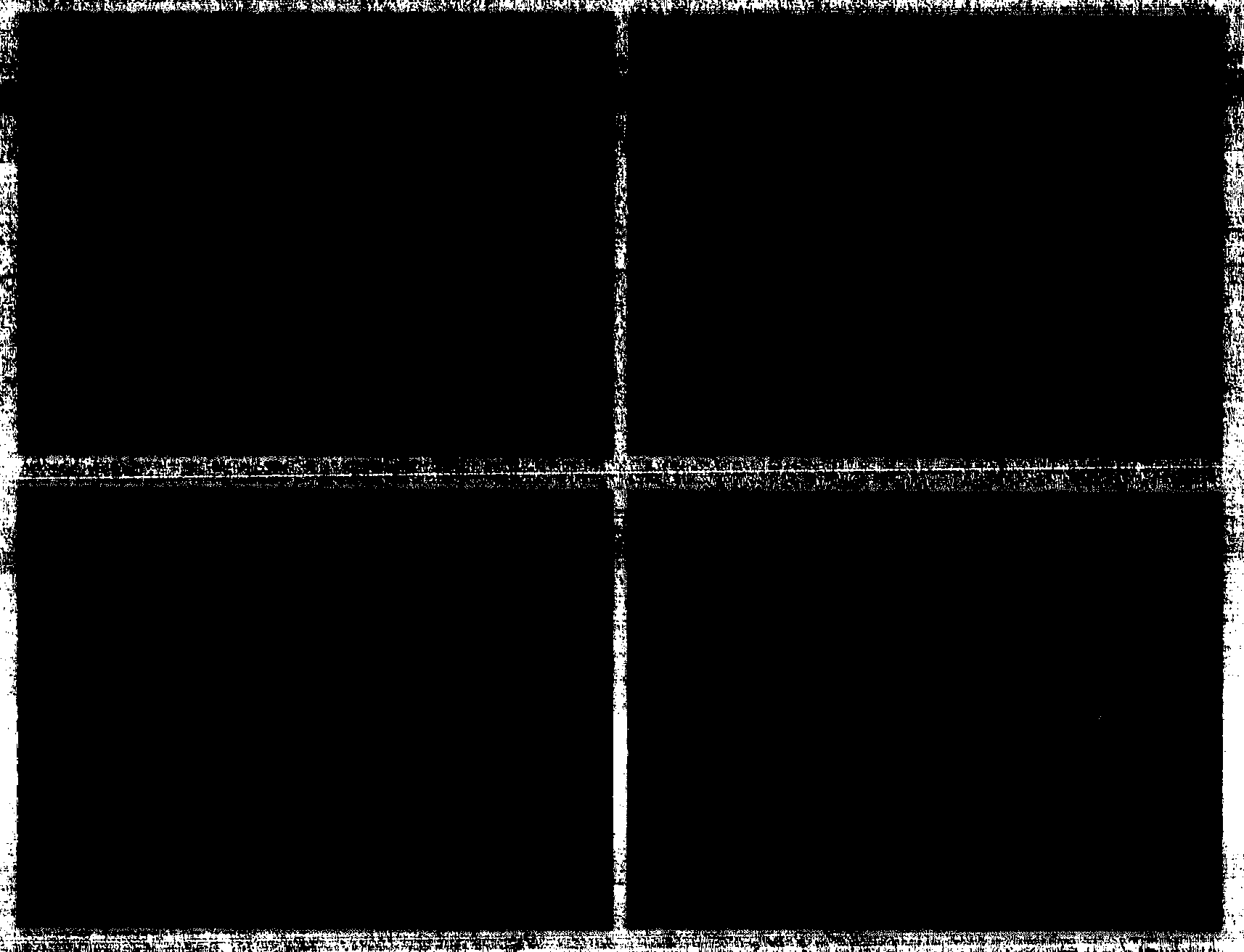 Determination method for interfacial tension of phase-separated polymer blend