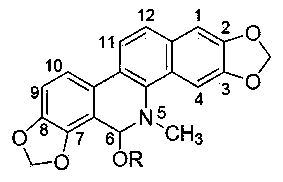 Sanguinarine alcoholate and chelerythrine alcoholate and preparation method and application thereof in animal acaricidal drugs