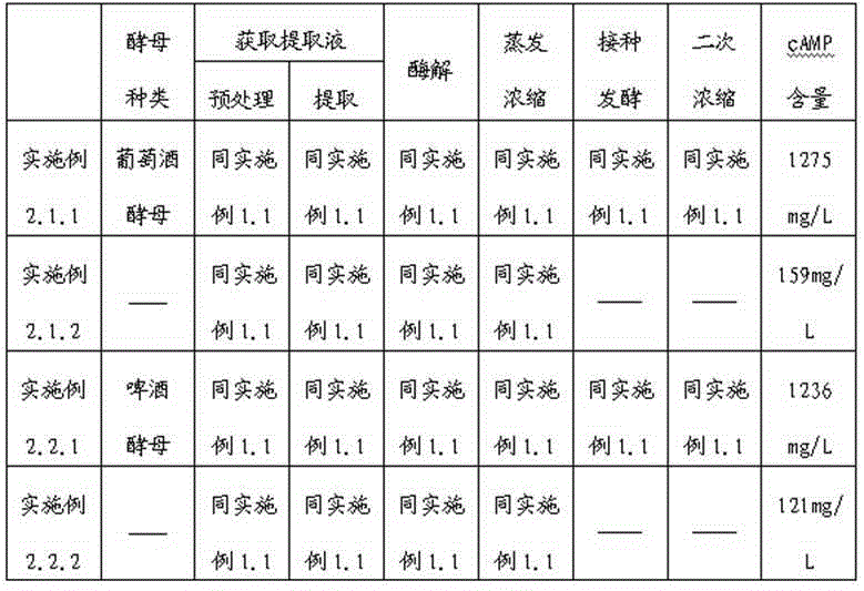 Commercial saccharomyces cerevisiae and high-concentration Chinese-date cyclic adenosine monophosphate extract and preparation method thereof