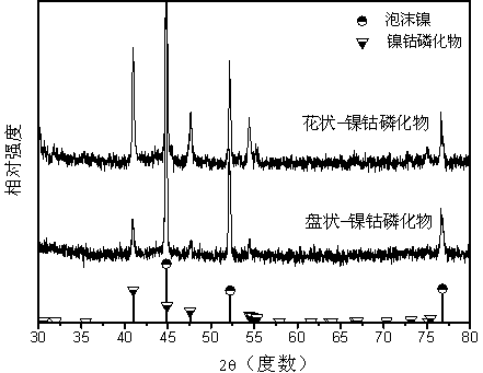 Preparation method of self-assembled ultrathin flower-like nickel cobalt phosphide electrocatalytic material