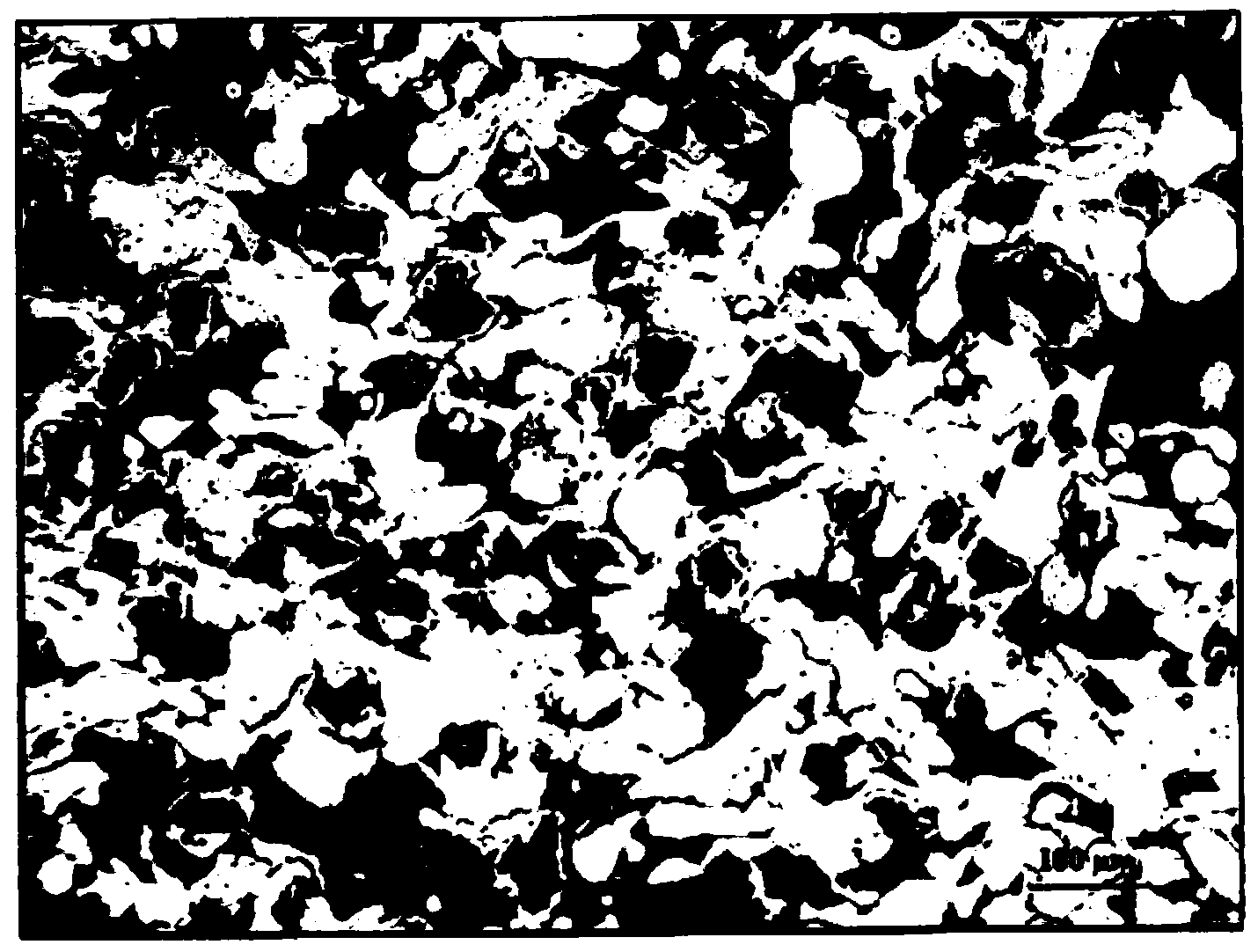 Detection method of flame spraying type CuAl/NiC coating microstructure