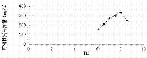 Preparation method of feather protein powder