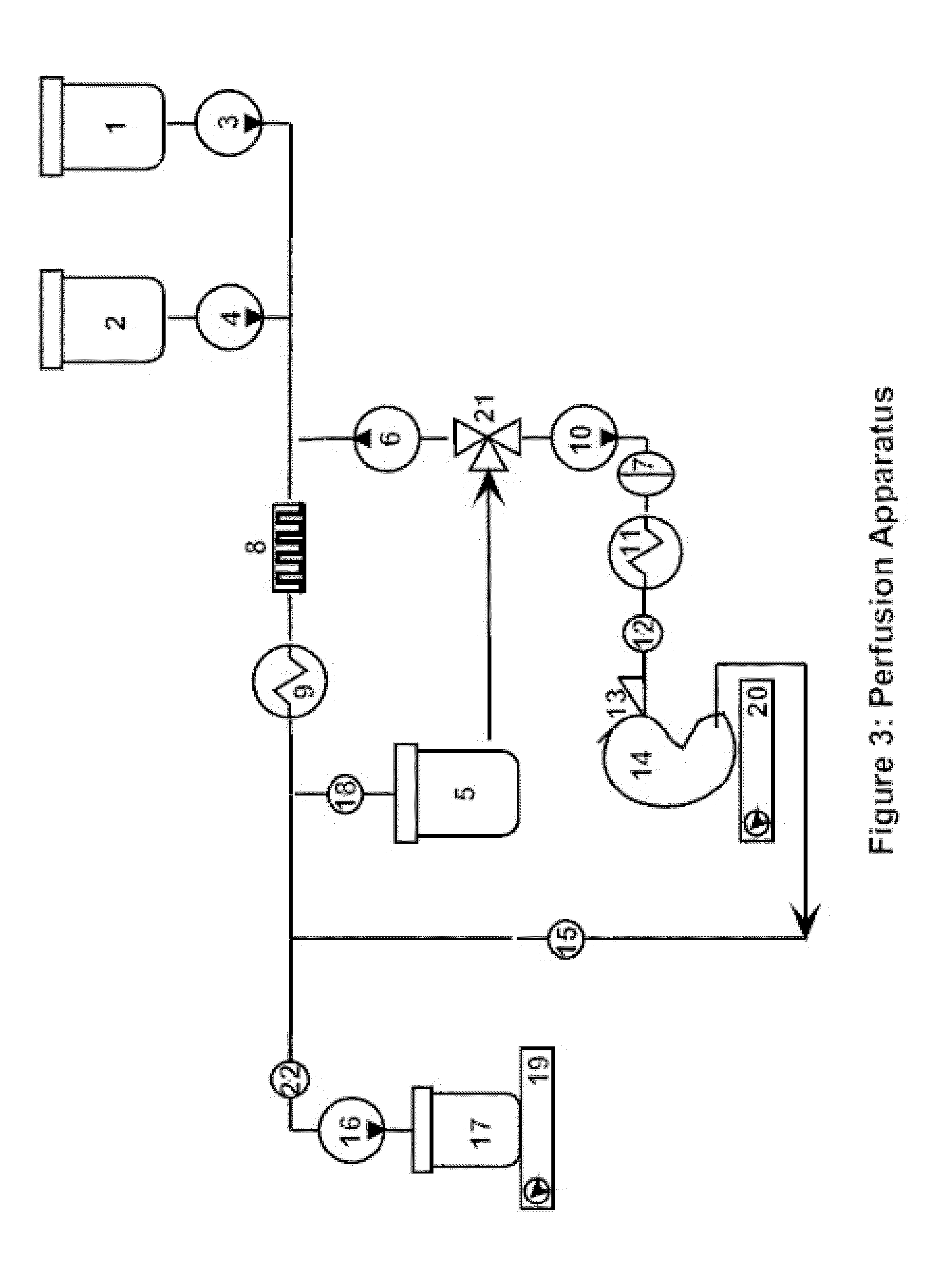 Method and apparatus for prevention of thermo-mechanical fracturing in vitrified tissue using rapid cooling and warming by persufflation