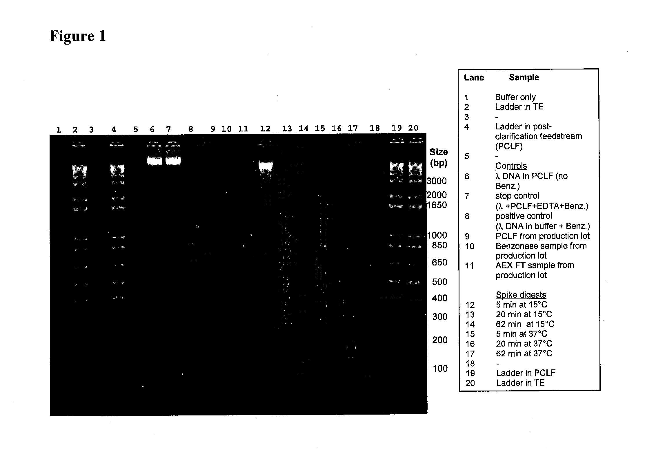 Methods for purification of recombinant aav vectors