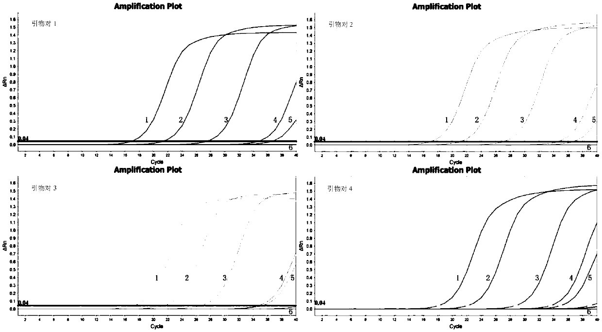 Real-time fluorescent PCR method for detecting mycobacterium avium and application of primer pairs